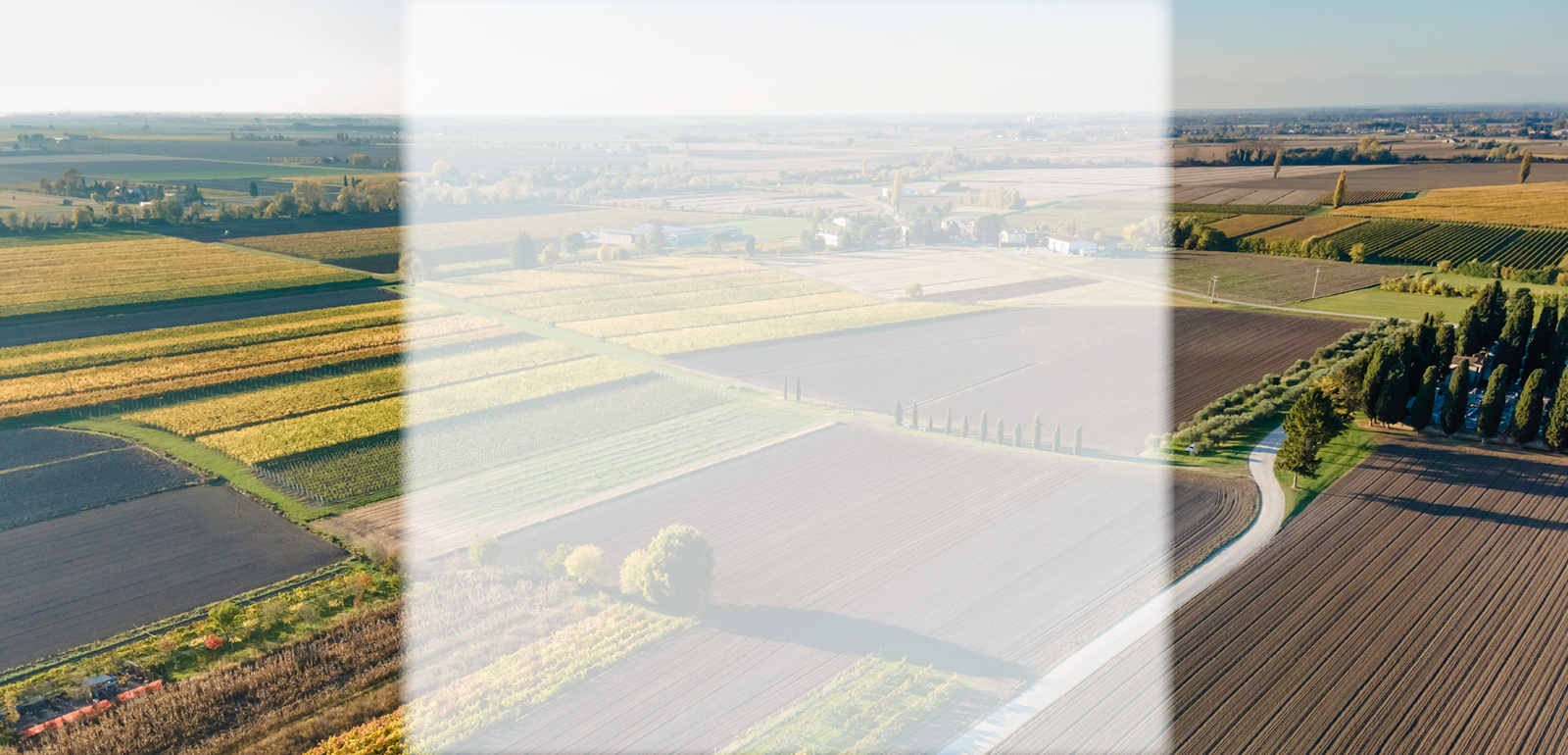 Select Image